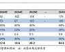 "2060년 기업실적?"..中 당국도 당황시킨 애널리스트 보고서