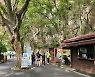 계룡산국립공원, 가을단풍철 코로나19 확산 방지 '탐방 거리두기' 캠페인
