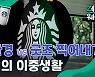 [영상] "텀블러 사용 권하면서, 꾸준한 새 '엠디' 출시"..스타벅스의 모순?