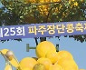 임진각 가득 채운 구수한 향..파주 장단콩 축제
