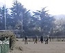 신라시대 고분 앞 골프채 휘두른 남녀 4인방..비난 폭주 [영상]