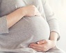 '8쌍둥이 임신' 中 18세 여성.."다태아 임신, 배란 촉진제 때문인 듯"