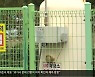 [LPG기획]④ 학교에 무허가 벌크 판매.."법령 위반 검토"