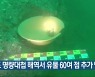 진도 명량대첩 해역서 유물 60여 점 추가 발굴
