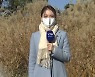 [날씨] 내륙 대체로 맑고 서울 한낮 6도..내일 낮부터 추위 풀려