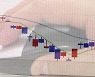 개미들, 삼성전자·하이닉스 팔고 中 전기차 ETF 샀다