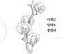 풀꽃 시인 나태주의 유년 에세이 '이제는 잊어도 좋겠다'