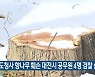 옛 도청사 향나무 훼손 대전시 공무원 4명 검찰 송치