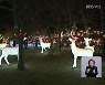 기지개 켜던 겨울 축제, 재확산에 '멈칫'