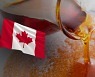 '국민 감미료' 메이플시럽 태부족..캐나다, 비축분 대량 방출