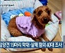 경찰, 입양견 19마리 학대·살해 혐의 40대 조사