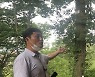 버려진 고택 4천평,  곰탕 다음 가는 나주 명물이 되다