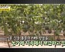 MBN[토요포커스] 허태웅 농촌진흥청장 "농업 경쟁력 향상에 힘쓰다"