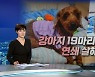 "공기업 다녀 믿었는데"..강아지 19마리 입양해 '엽기 행각'