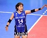 [V리그] 이탈 물의 조송화 "상벌위 참석한다".. 기업은행 새 사무국장 정민욱 선임