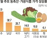 불안한 밥상 물가.. 계란값 또 오르나