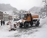 바닷물 퍼서 도로에 뿌리는 울릉도..독도 품은 설국(雪國)의 독특한 제설법