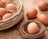 아침 삶은 달걀의 건강효과 높이는 음식 5