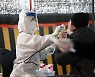 앞으로 무증상자는 PCR 대신 진단키트..정부 "개인 비용 부담은 검토 중"