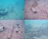 [고든 정의 TECH+] 바다 밑 쓰레기 줍는 인공지능 로봇 청소기 '씨클리어' (영상)