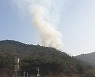 밀양 부북면 야산에 불..2시간만에 진화, 인명피해 없어