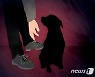 "강아지 탐정이다" SNS 허위글로 4천여만원 가로챈 20대
