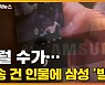 [자막뉴스] 삼성 '발칵' 뒤집혔다..이례적 소송 건 인물