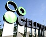 셀트리온·셀트리온헬스케어, 1500억 원 규모 자사주 매입 결정