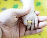 정읍시, 출생 아동 첫 통장 만들면 축하금 10만원