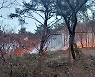 순천 야산 불