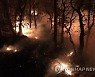 이천 설봉산 산불