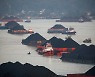 印尼, 석탄 수출 금지 10일 만에 다시 허용