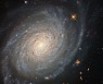 [우주를 보다] 아름다운 나선팔..초신성 품은 은하 NGC 976 포착