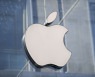 구글 이어 애플도 네이버·카카오에 "3자 결제 허용"