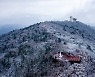 평창군, 동계올림픽 유산 '평창 평화봉 숲길' 기념사업 완료