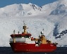 관광선·연구선 달라붙은 외래종..위협받는 남극 '청정' 생태계