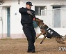 CHINA-HUBEI-WUHAN-POLICE DOG-TRAINING (CN)
