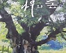 사천시, '사천의 나무와 숲' 발간