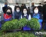 김혜경 '청도 한재미나리와 함께'