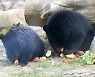 사육곰 보호시설 건립·동물원 허가제로..올해 추진되는 환경정책은?