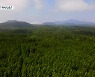 [영상] '제주 경찰숲터' 아시나요?