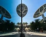 UAE EXPO 2020 SUSTAINABILITY
