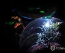 UAE EXPO 2020 SUSTAINABILITY