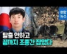 [영상] 최후의 10초.."심정민 소령, 민가 피하려고 조종간 잡아"