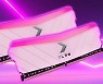 한미마이크로닉스, PNY XLR8 메모리 핑크 색상 출시