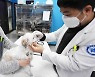중랑구, '24시간' 유기동물 응급진료병원 운영한다