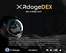 탈중앙화거래소 XRdoge, 2021년 연간 보고서 발표