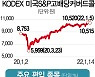 [ETF줌인] 'KODEX 미국S&P고배당커버드콜' 변동장서도 안정적 수익 추구..1년 성과 15%