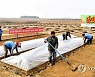 북한, 식량문제 사활 걸고 곡물생산 방안 '골몰'