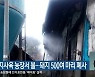 철원 돼지사육 농장서 불..돼지 500여 마리 폐사